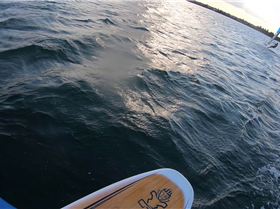 Kyeemagh windsurfing and foiling