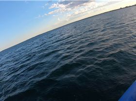 Kyeemagh windsurfing and foiling