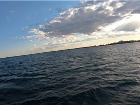 Kyeemagh windsurfing and foiling