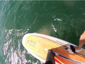 Kyeemagh windsurfing and foiling