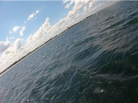 Kyeemagh windsurfing and foiling