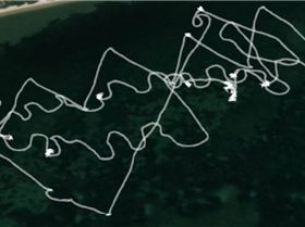 gybes and tacks practice