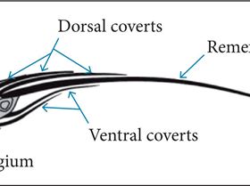 1984-9648-jatm-8-1-0007-gf02