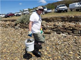 Oyster Clean Up