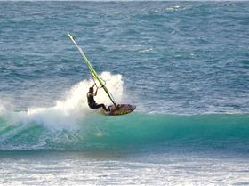 the gentle giant and other stars