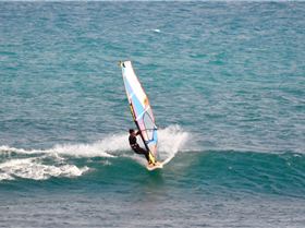 the gentle giant and other stars