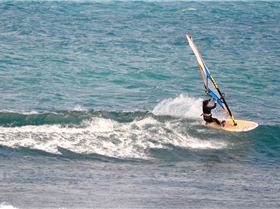 the gentle giant and other stars