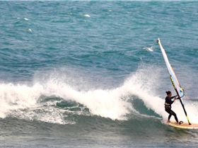 the gentle giant and other stars