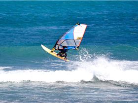 the gentle giant and other stars