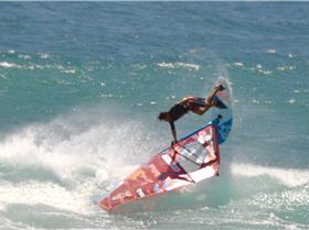 the gentle giant and other stars