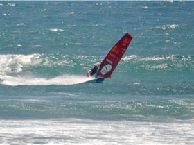 the gentle giant and other stars