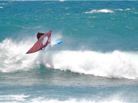 the gentle giant and other stars