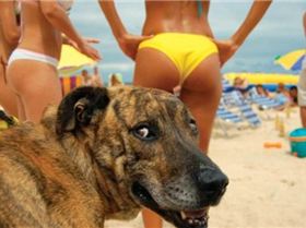 article-2112376-121605BF000005DC-682 634x405