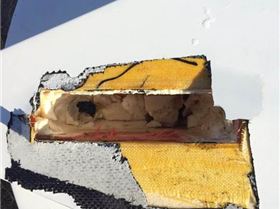 24272983 883241791844879 1699792597 n