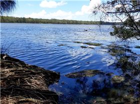 20171130 123850 (Large)