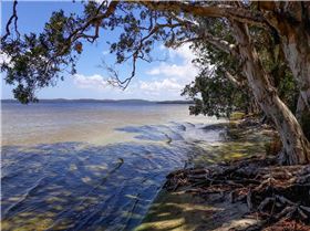 20171130 130903 (Large)