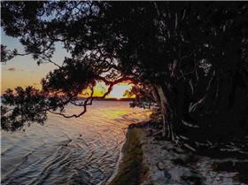 20171130 193850 (Large)