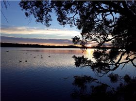 20171203 054742 (Large)