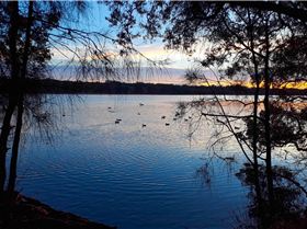 20171203 054721 (Large)