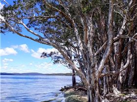 20171203 105800 (Large)