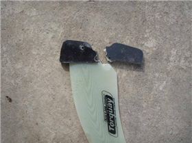 broken fin