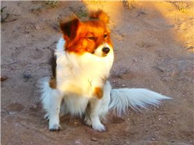 Coros / Oakajee 31/12/2017