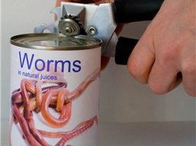 Can'o worms