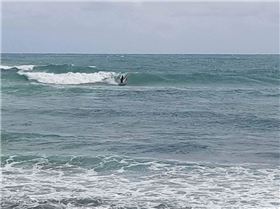 19247943 1303245706488356 2036988717158139754 n