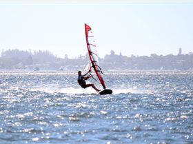 kid windsurfing