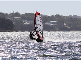 kid windsurfing