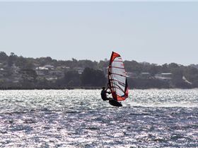 kid windsurfing