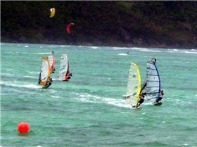 for nebs, mineral and the rest of you guys...