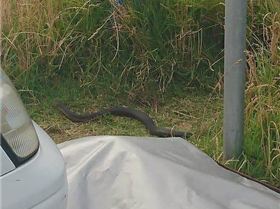 28236098 10155496384812705 923709017 n