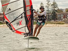 Alfamale across the line