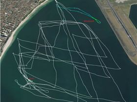 Alfamale Oz Champ Day1