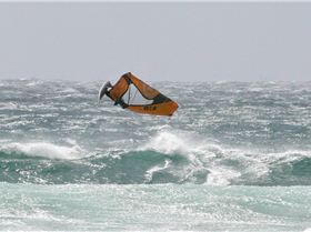 I got a Didital SLR now - first time pictures