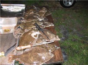 what to do when the wind dosnt blow