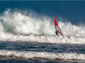 Big Mid-Autumn Session