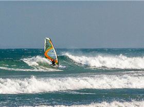 Big Mid-Autumn Session