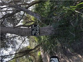 We were later very glad we got this shot