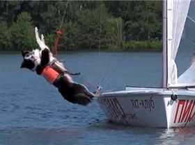 Screen-Shot-2014-09-17-at-14.46.21