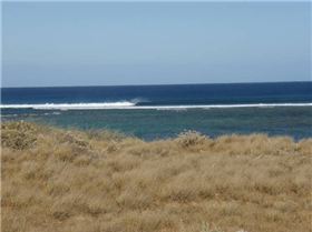 White lines at The Gloo