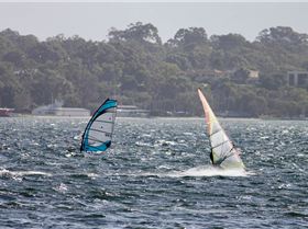 Various Windsurfers on River at Melville at the weekend