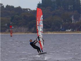 Foil Swan river