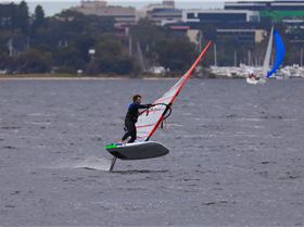 Foil Swan river