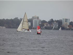 Foil Swan river