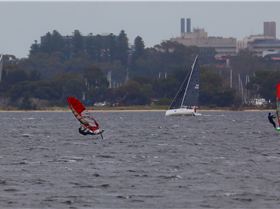 Foil Swan river