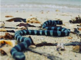 UNADJUSTEDNONRAW thumb 3666