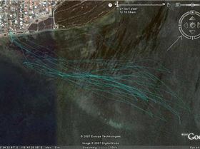 Hardies Run Elmo Sprint PBs