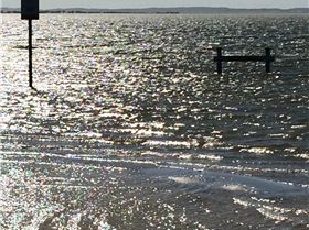 LG level August 14th